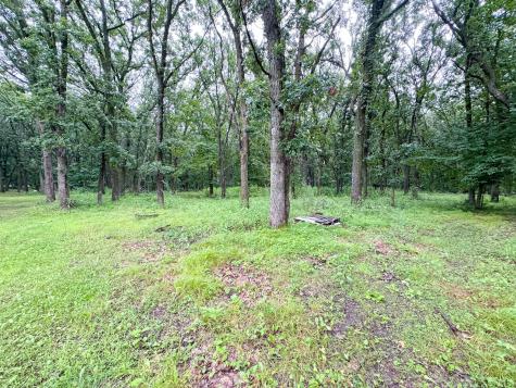 40112 244th Street Battle Lake MN 56515