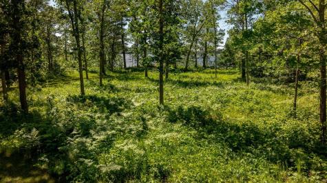 11027 Oak Point Road NW Cass Lake MN 56633