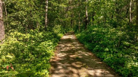 11027 Oak Point Road NW Cass Lake MN 56633