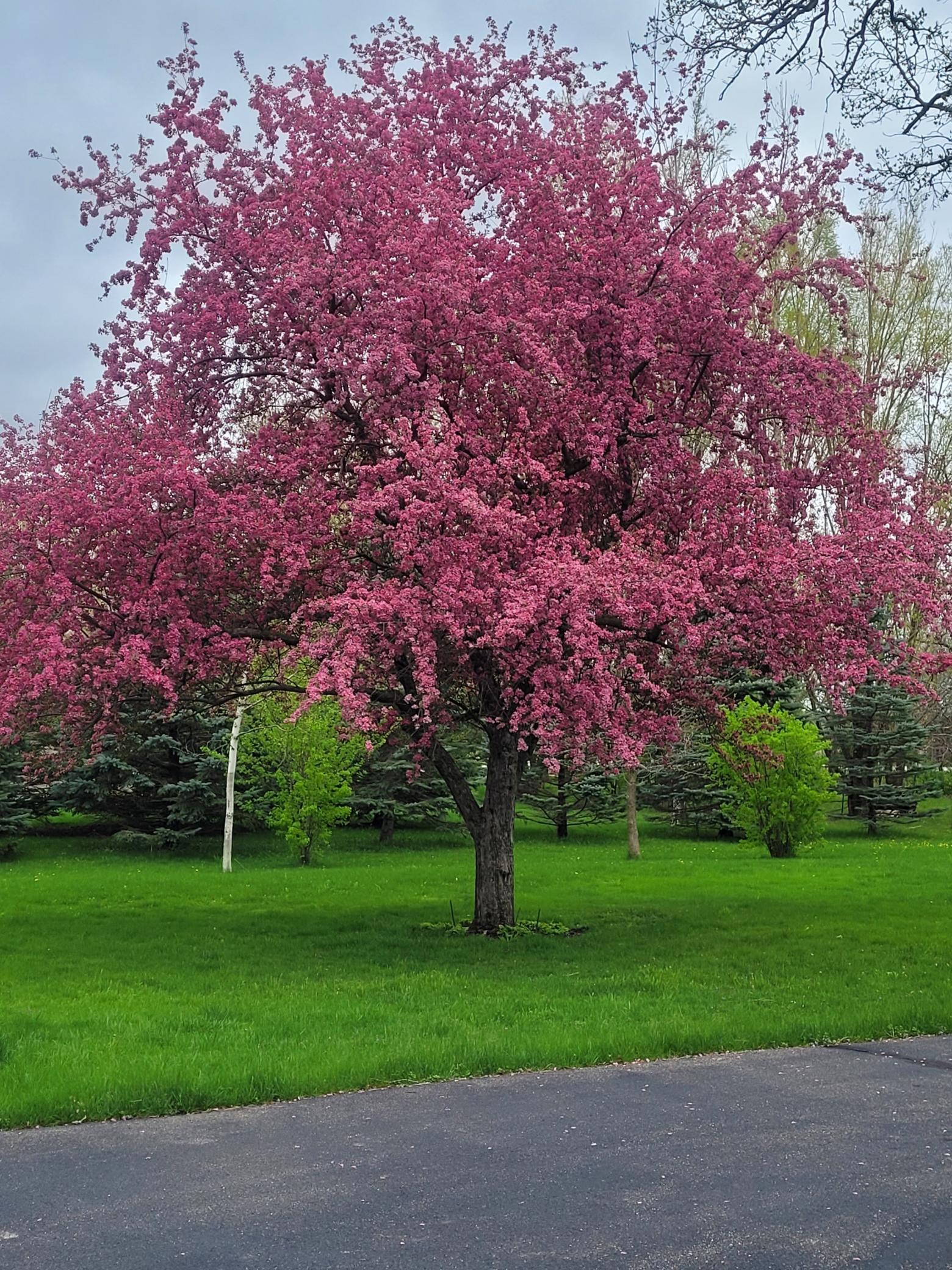 17395 540th Avenue Austin MN 55912