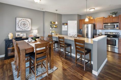 128 Morgan Lane Circle Pines MN 55014