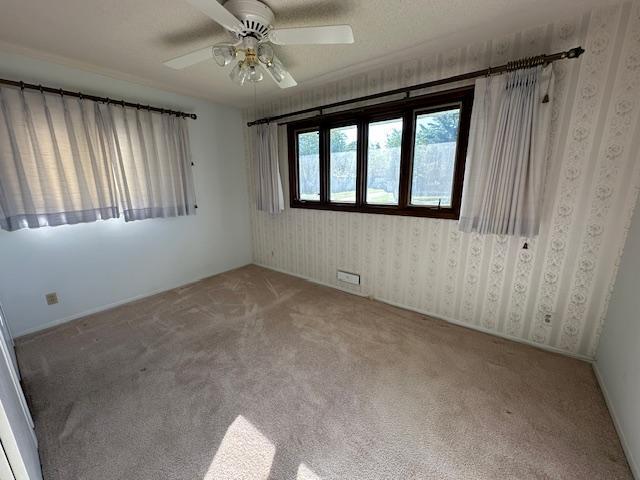 51 Elm Boulevard Babbitt MN 55706