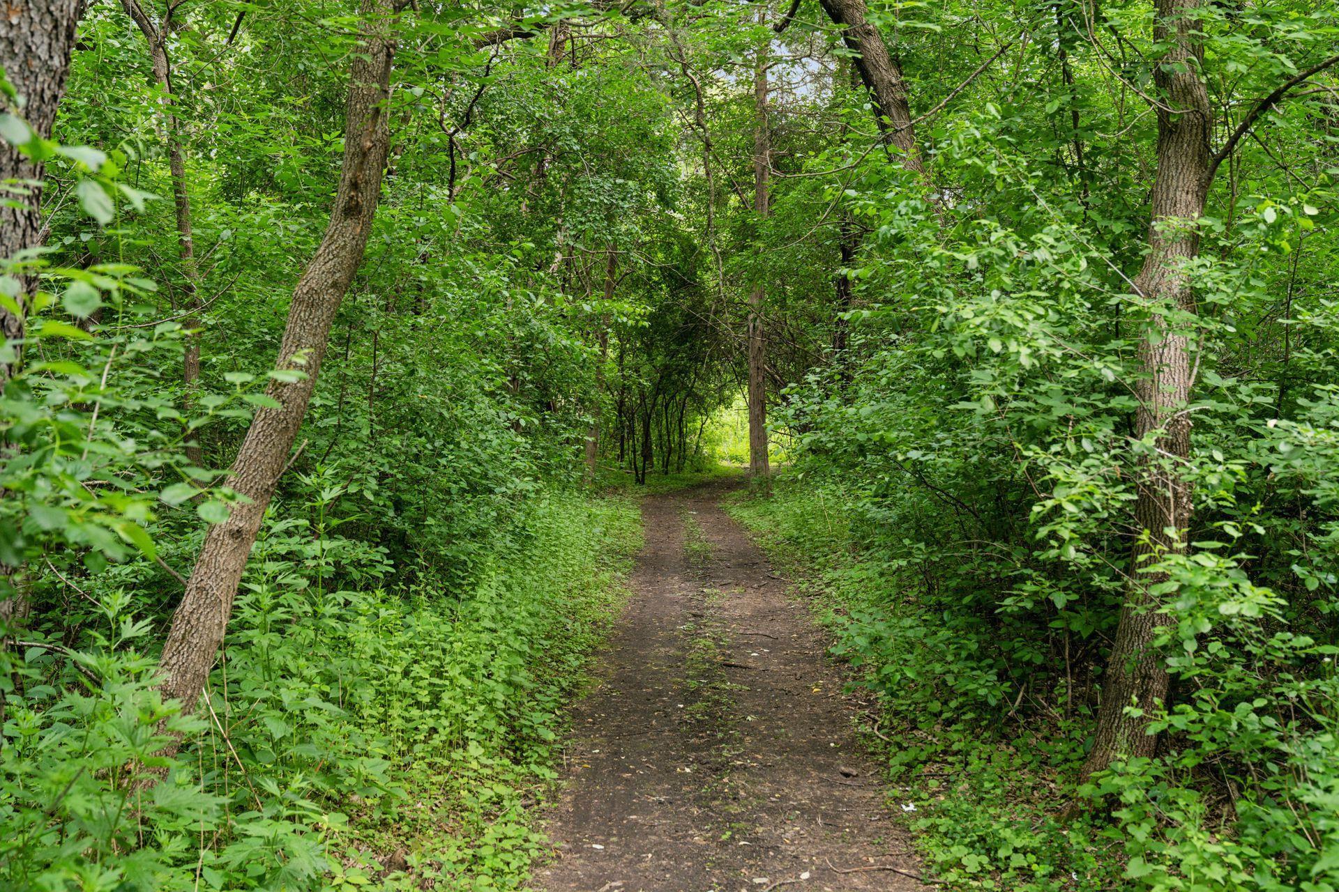 4584 162nd Lane NW Andover MN 55304