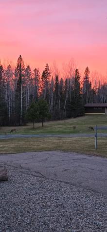 5713 Crane Lake Road Buyck MN 55771