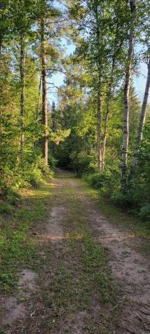 5713 Crane Lake Road Buyck MN 55771