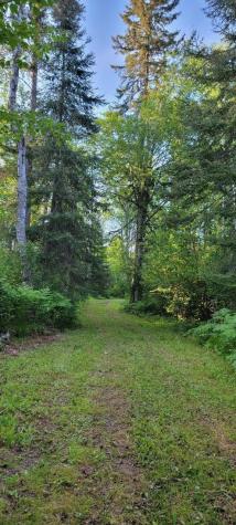5713 Crane Lake Road Buyck MN 55771