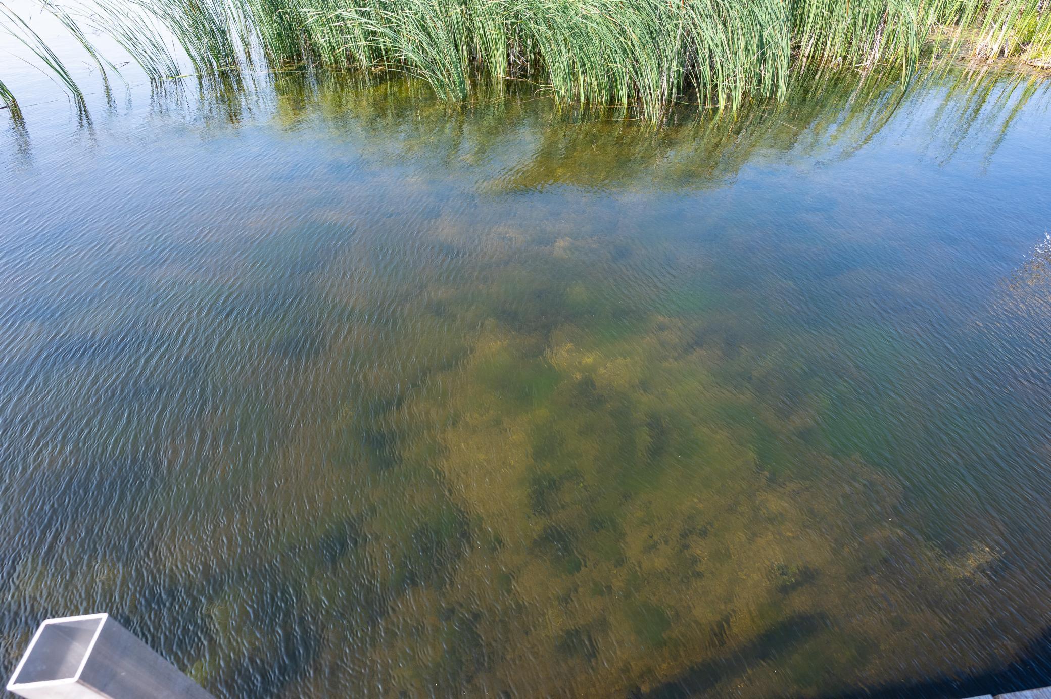 8149 Little Mary Circle SW Alexandria MN 56308