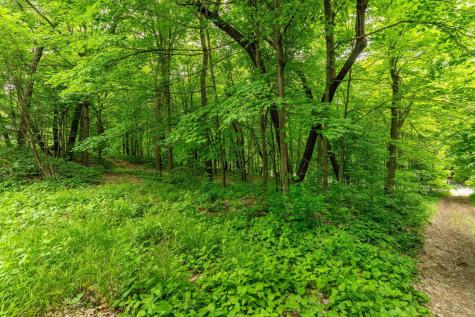 22054 Nirvana Trail Vining MN 56588