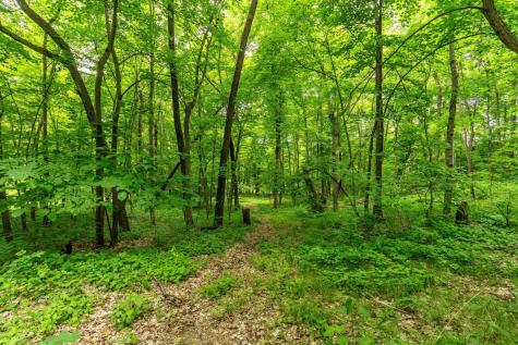 22054 Nirvana Trail Vining MN 56588