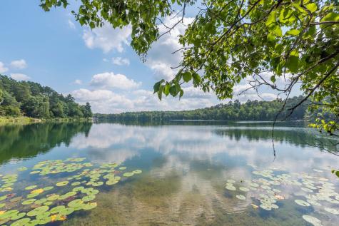 34477 Gasink Road Pequot Lakes MN 56472