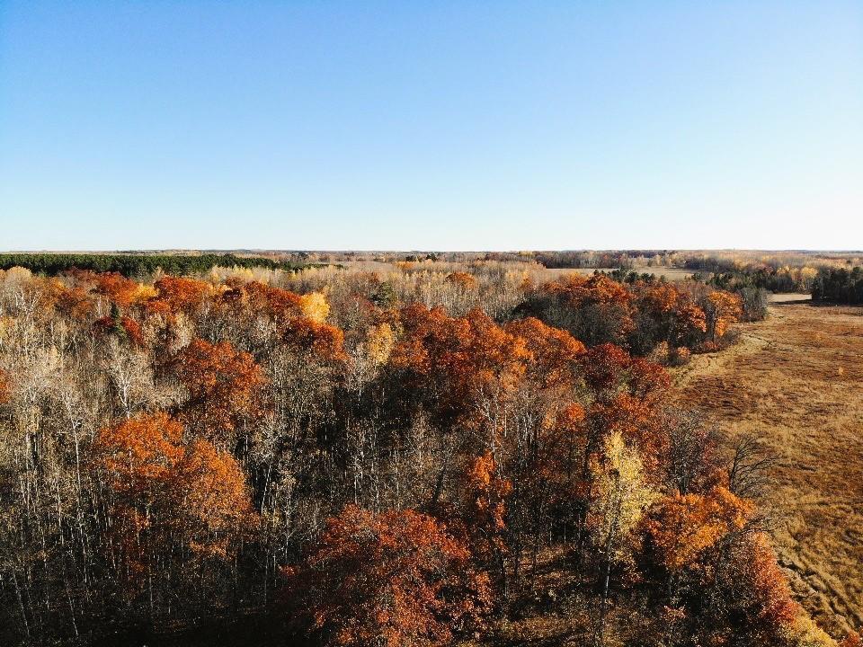 1353 State 371 NW Backus MN 56435