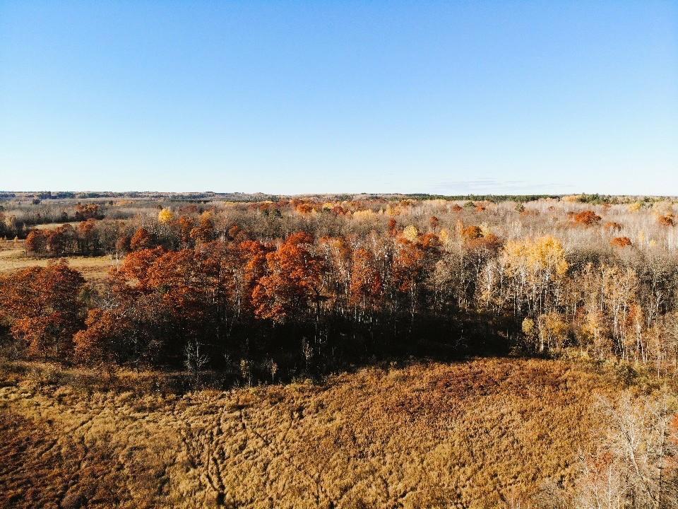 1353 State 371 NW Backus MN 56435