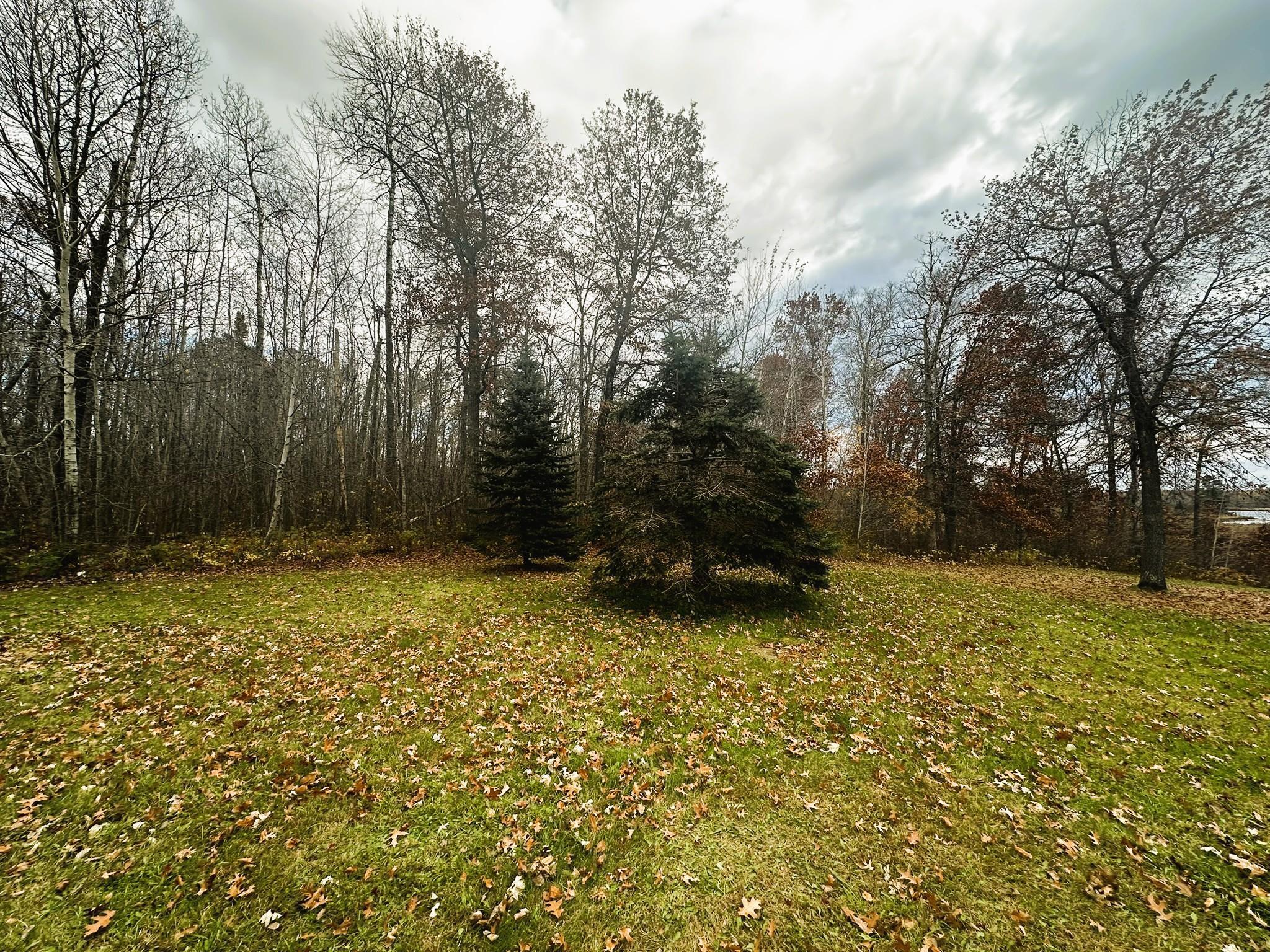 1353 State 371 NW Backus MN 56435