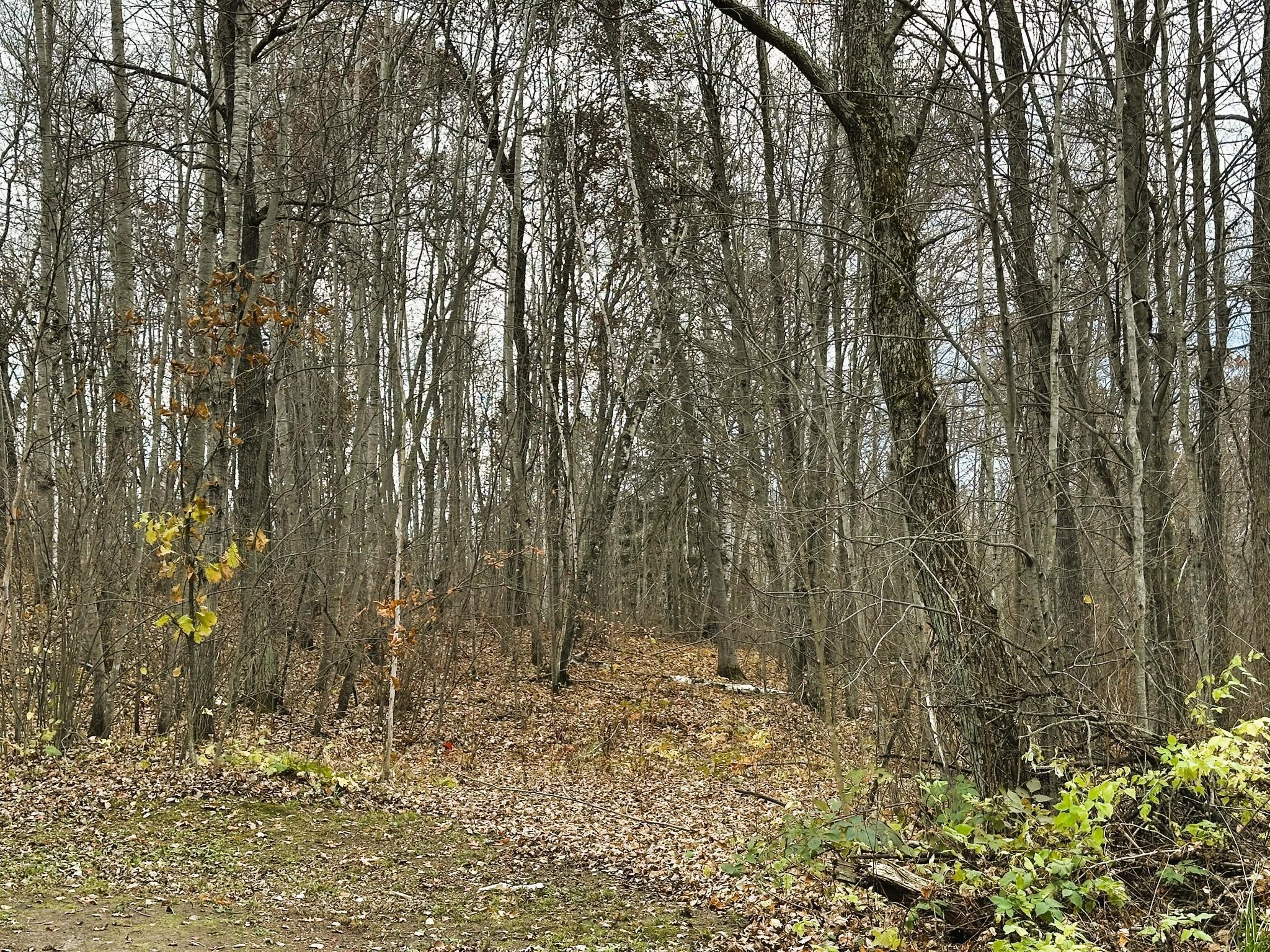 1353 State 371 NW Backus MN 56435