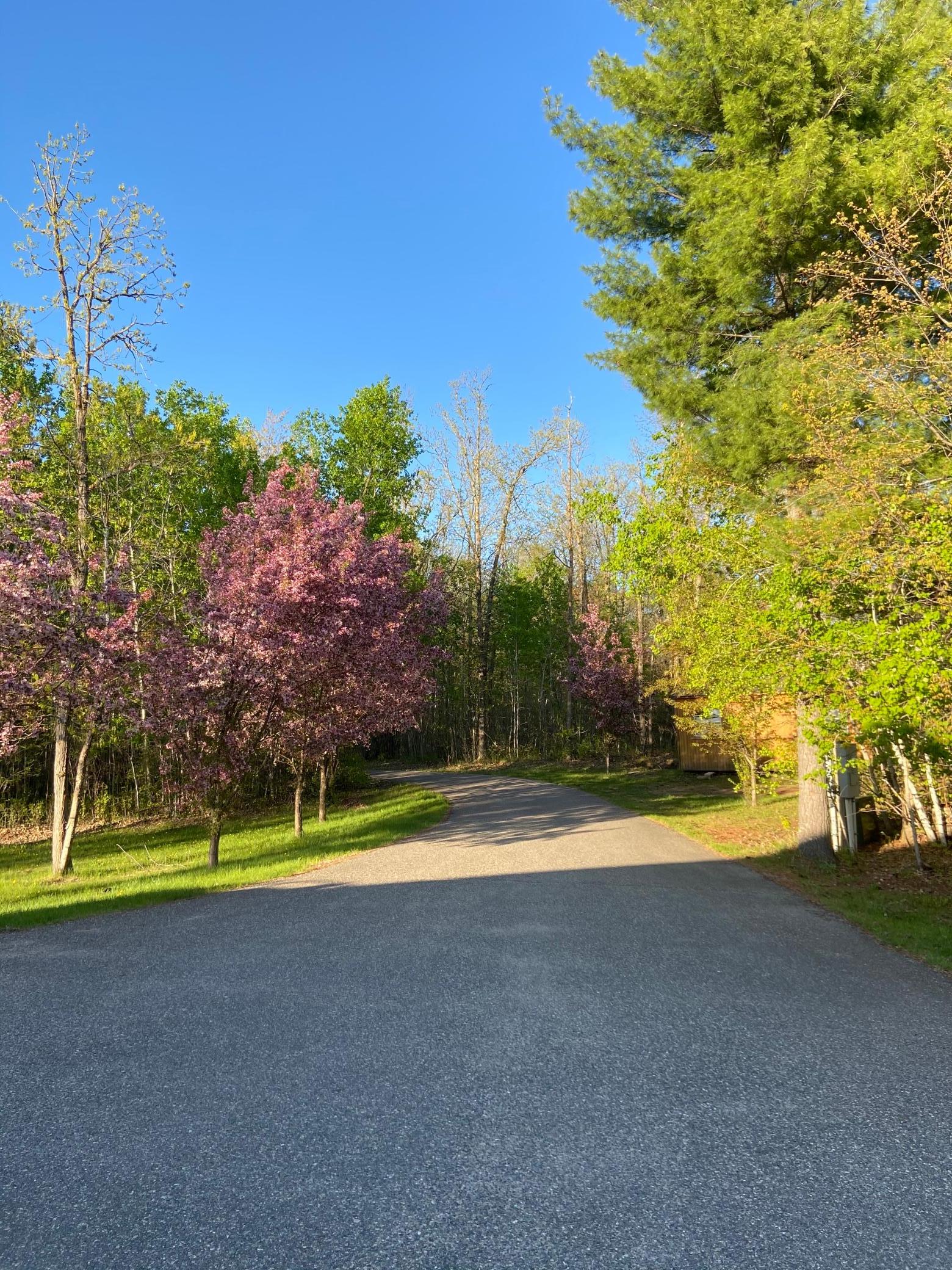 1353 State 371 NW Backus MN 56435