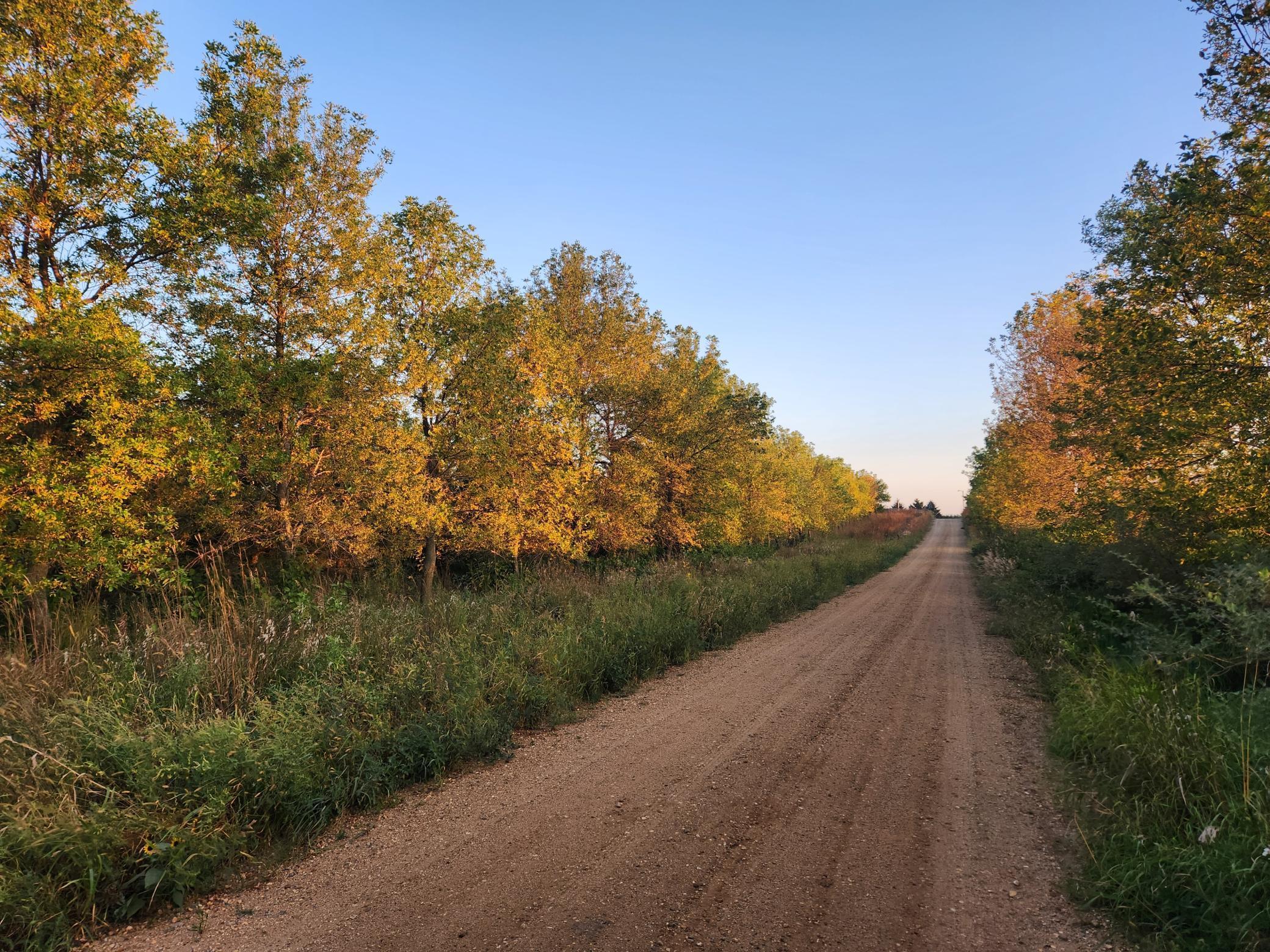 2051 120th Street Balaton MN 56115