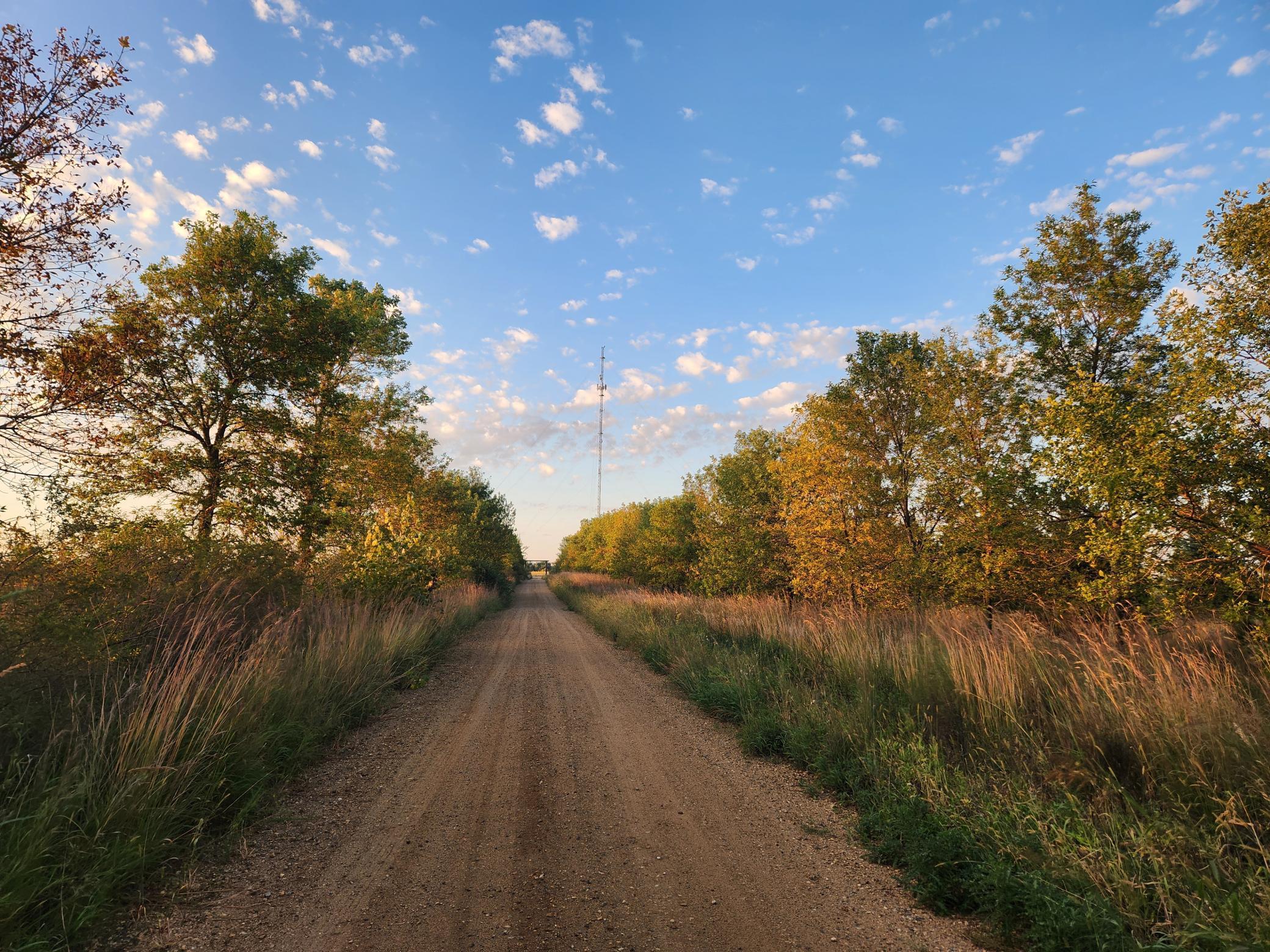 2051 120th Street Balaton MN 56115