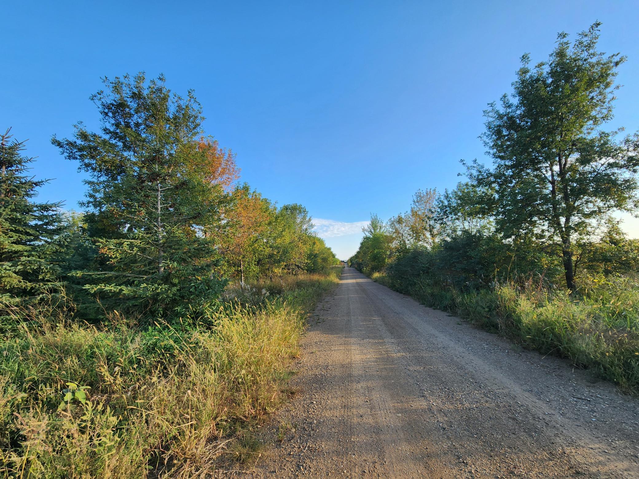 2051 120th Street Balaton MN 56115