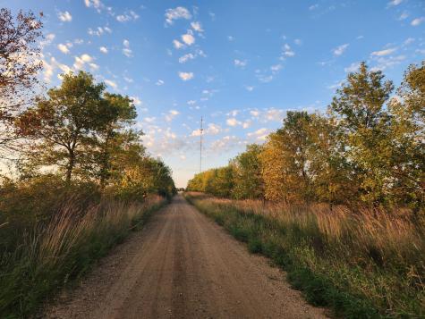 2051 120th Street Balaton MN 56115