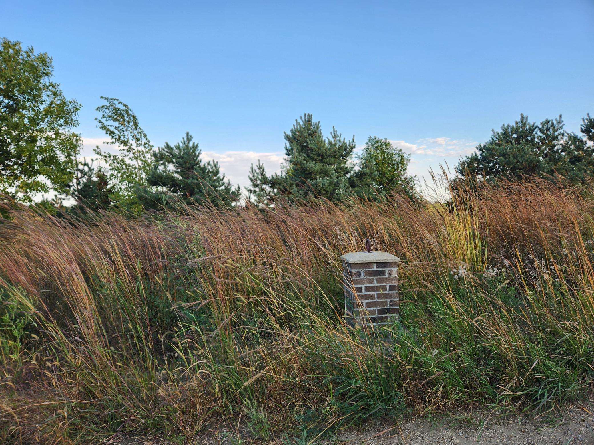 2051 120th Street Balaton MN 56115