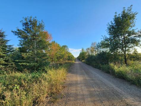 2051 120th Street Balaton MN 56115