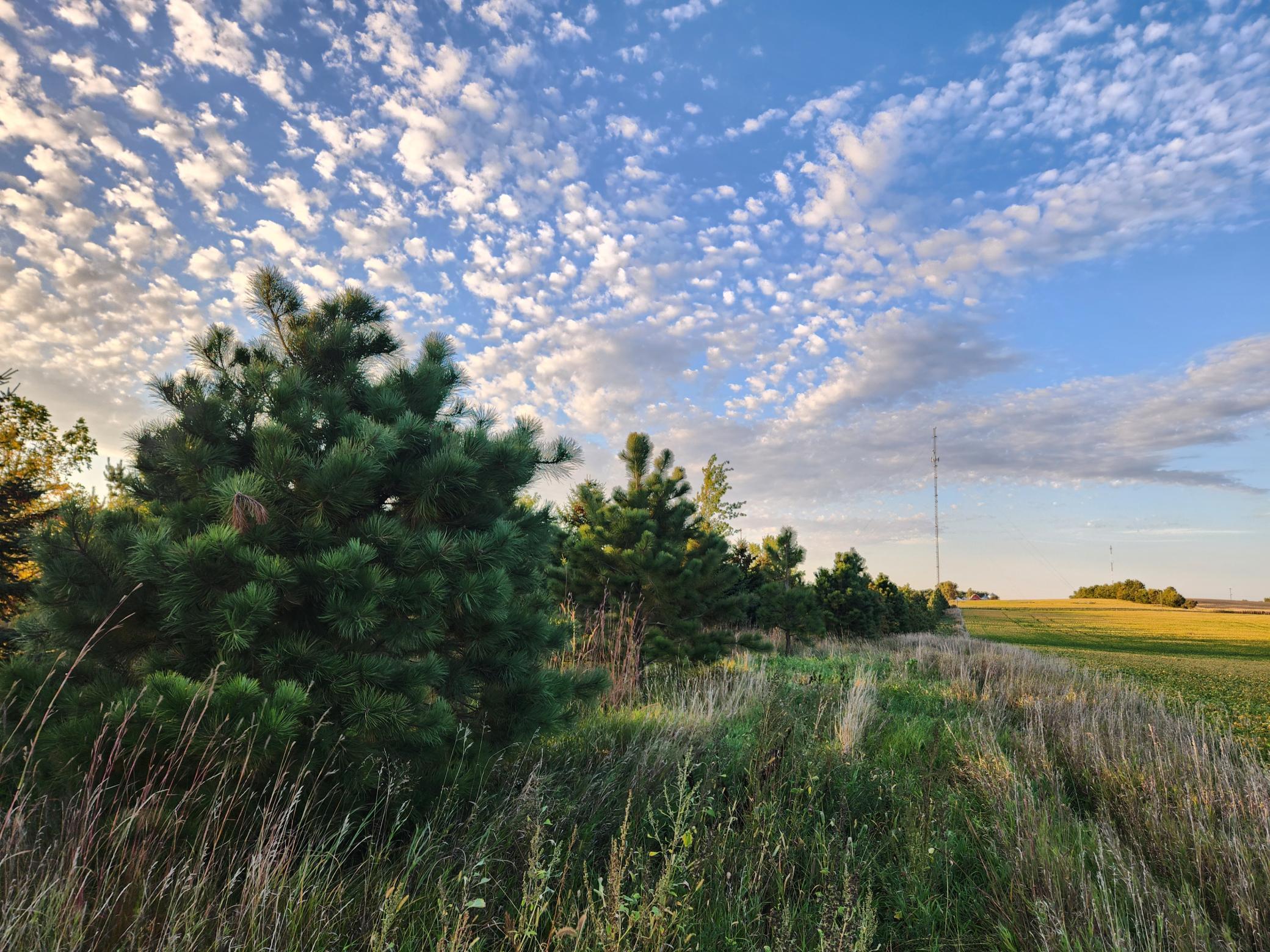 2051 120th Street Balaton MN 56115