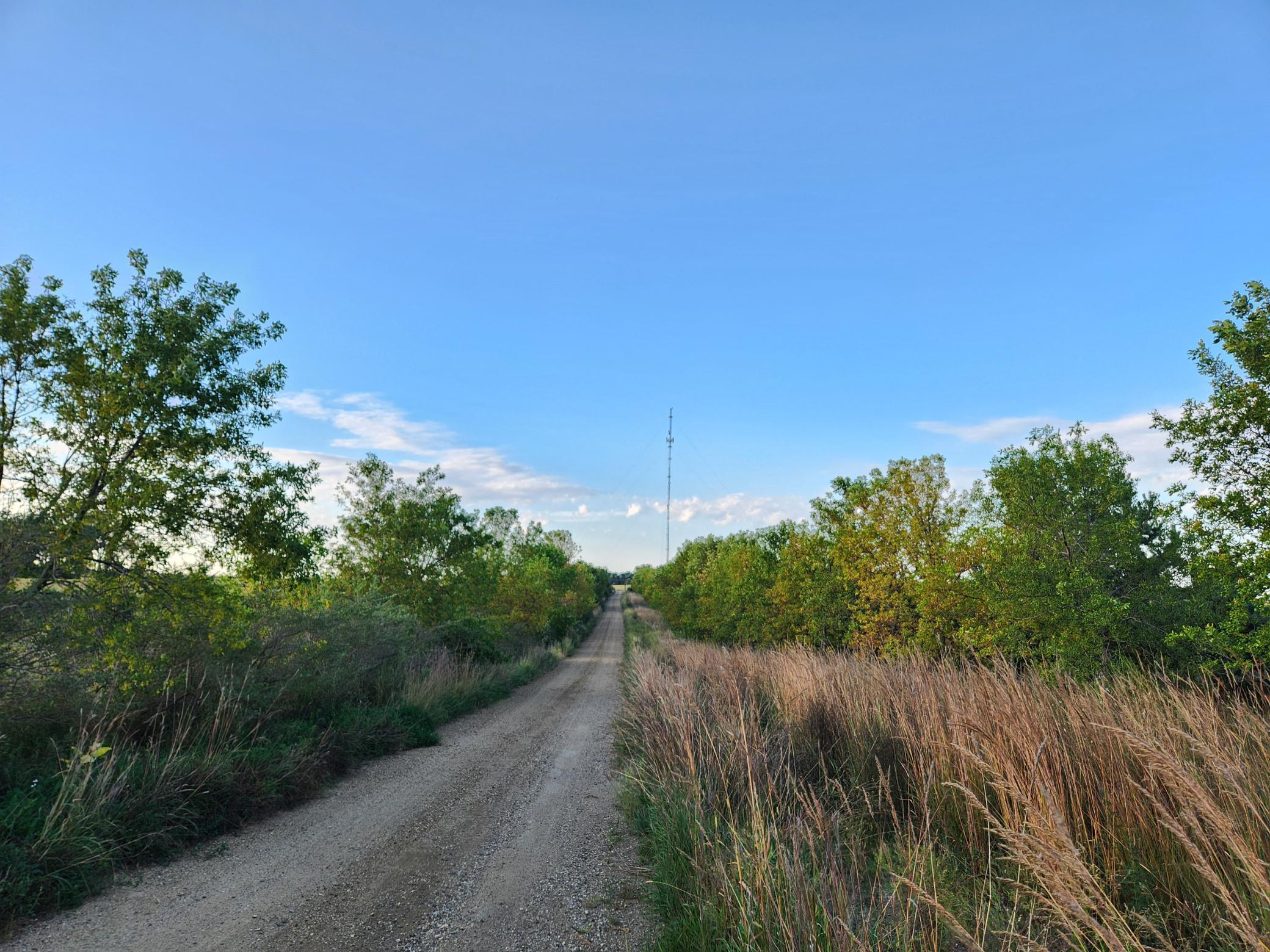 2051 120th Street Balaton MN 56115