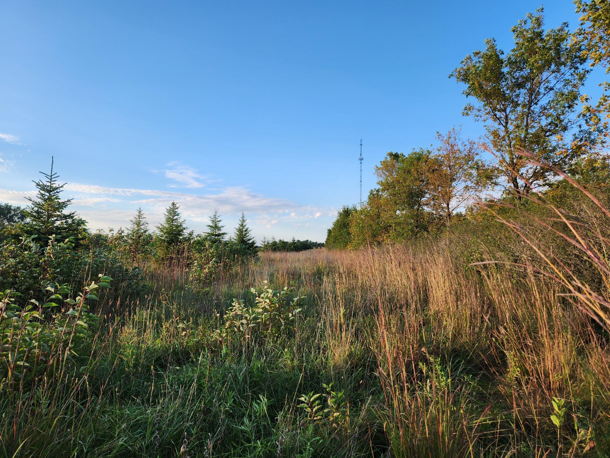 2051 120th Street Balaton MN 56115