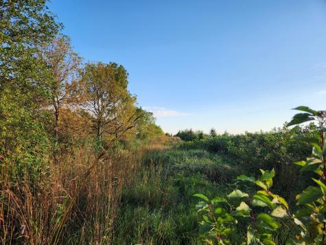 2051 120th Street Balaton MN 56115