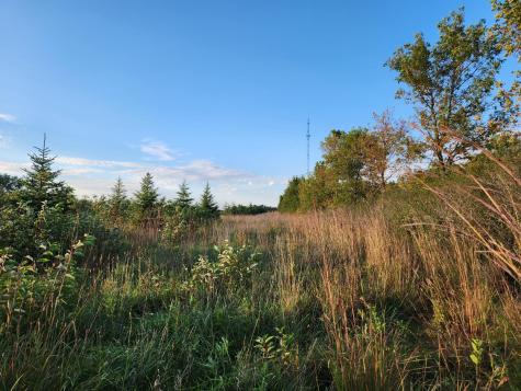 2051 120th Street Balaton MN 56115