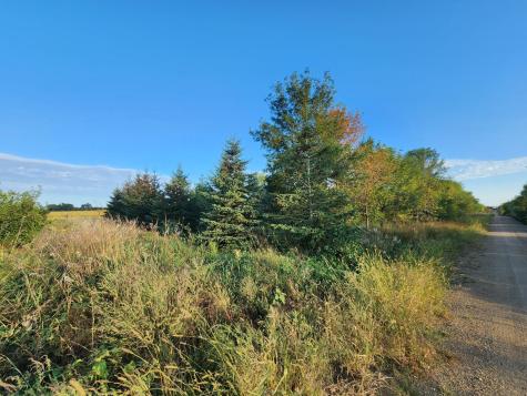 2051 120th Street Balaton MN 56115