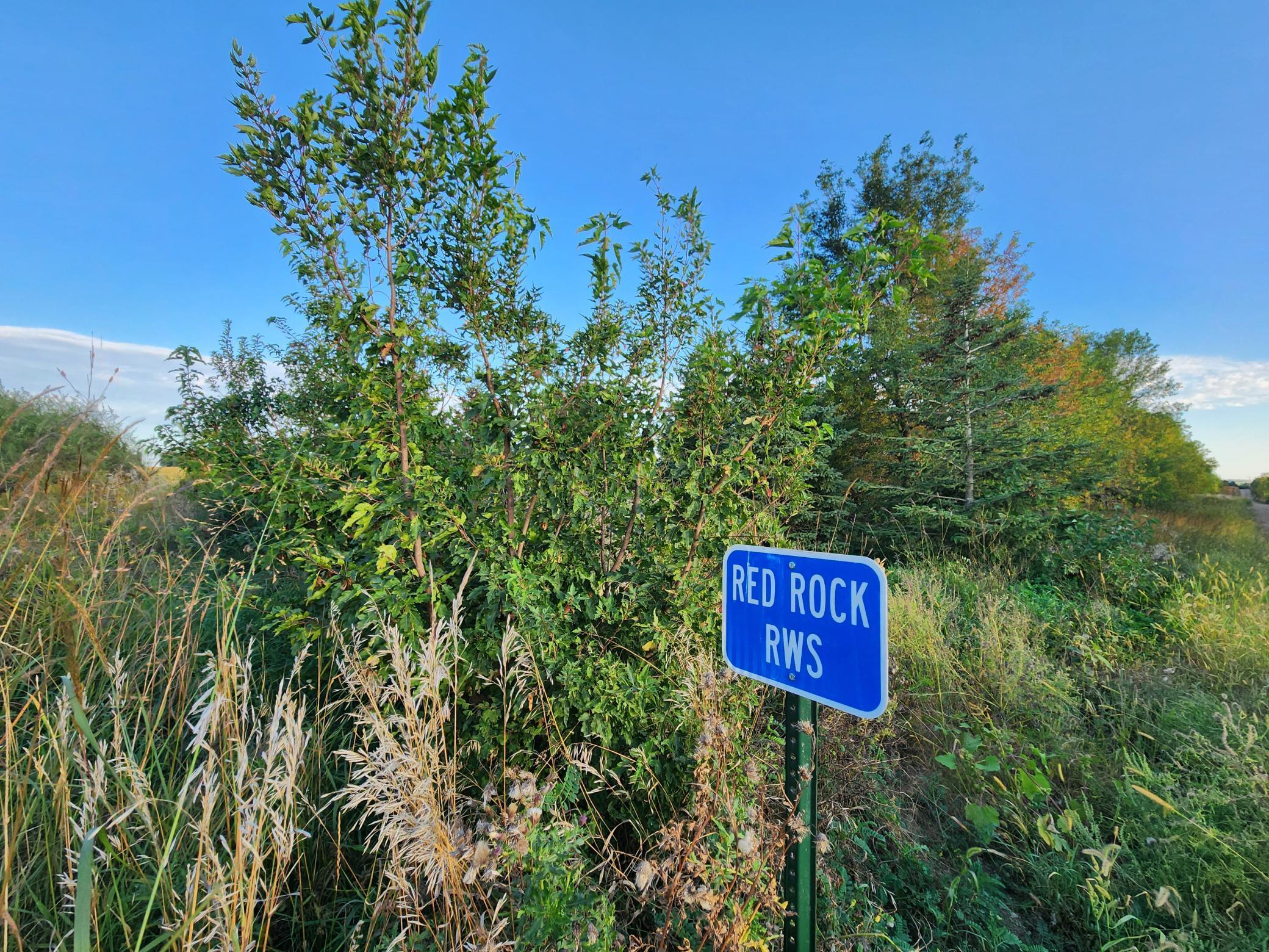 2051 120th Street Balaton MN 56115