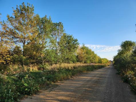2051 120th Street Balaton MN 56115