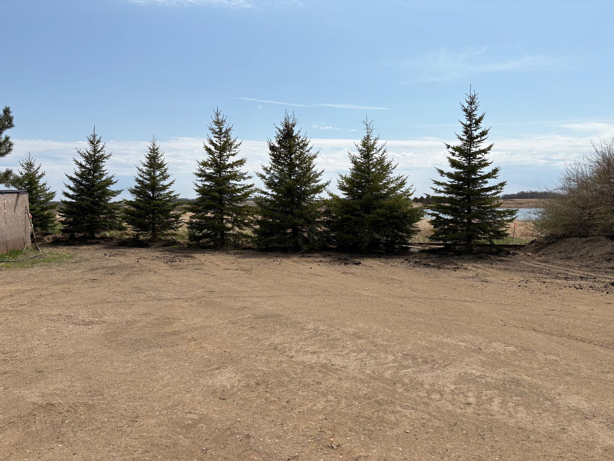 2051 120th Street Balaton MN 56115