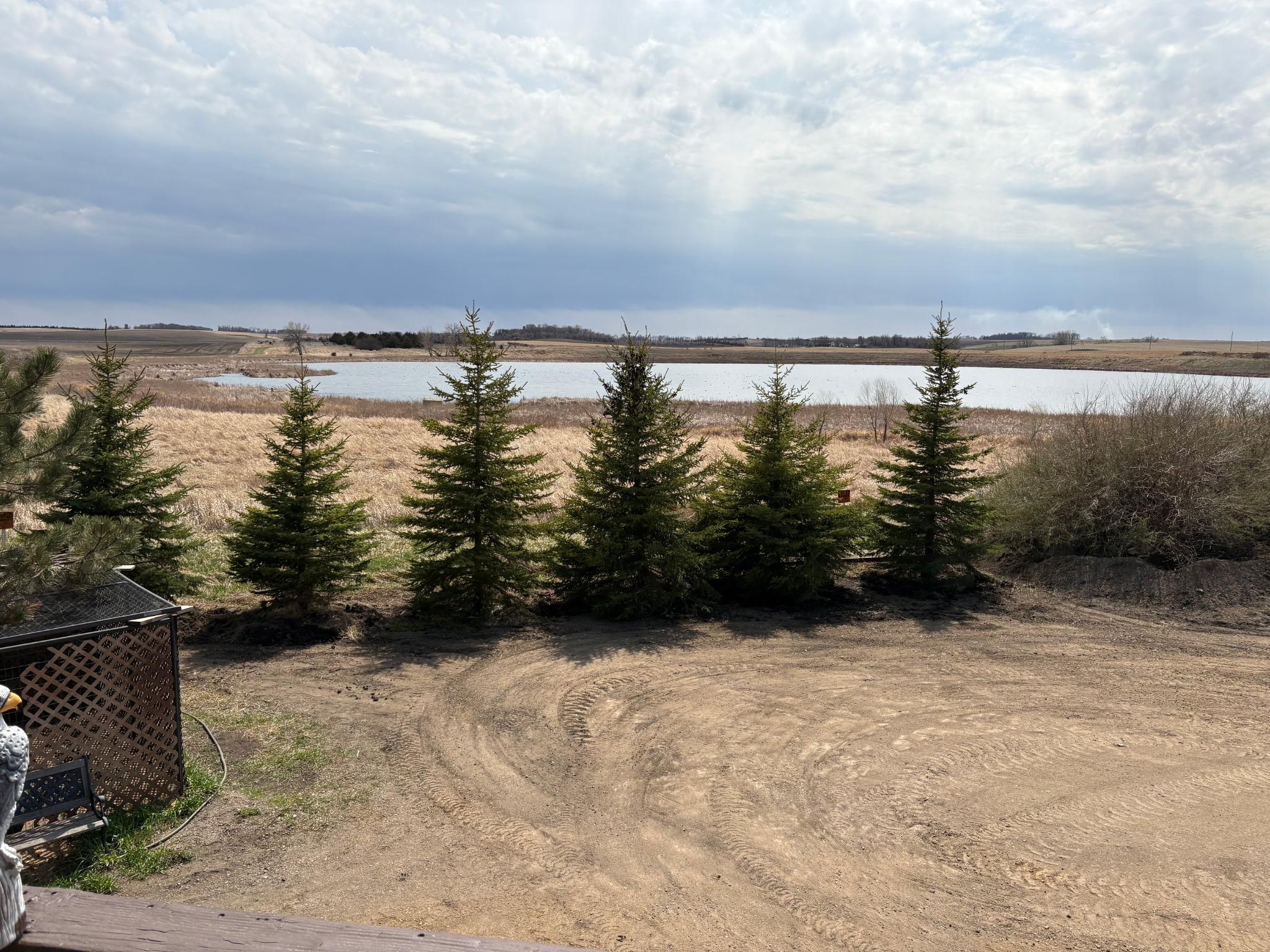 2051 120th Street Balaton MN 56115