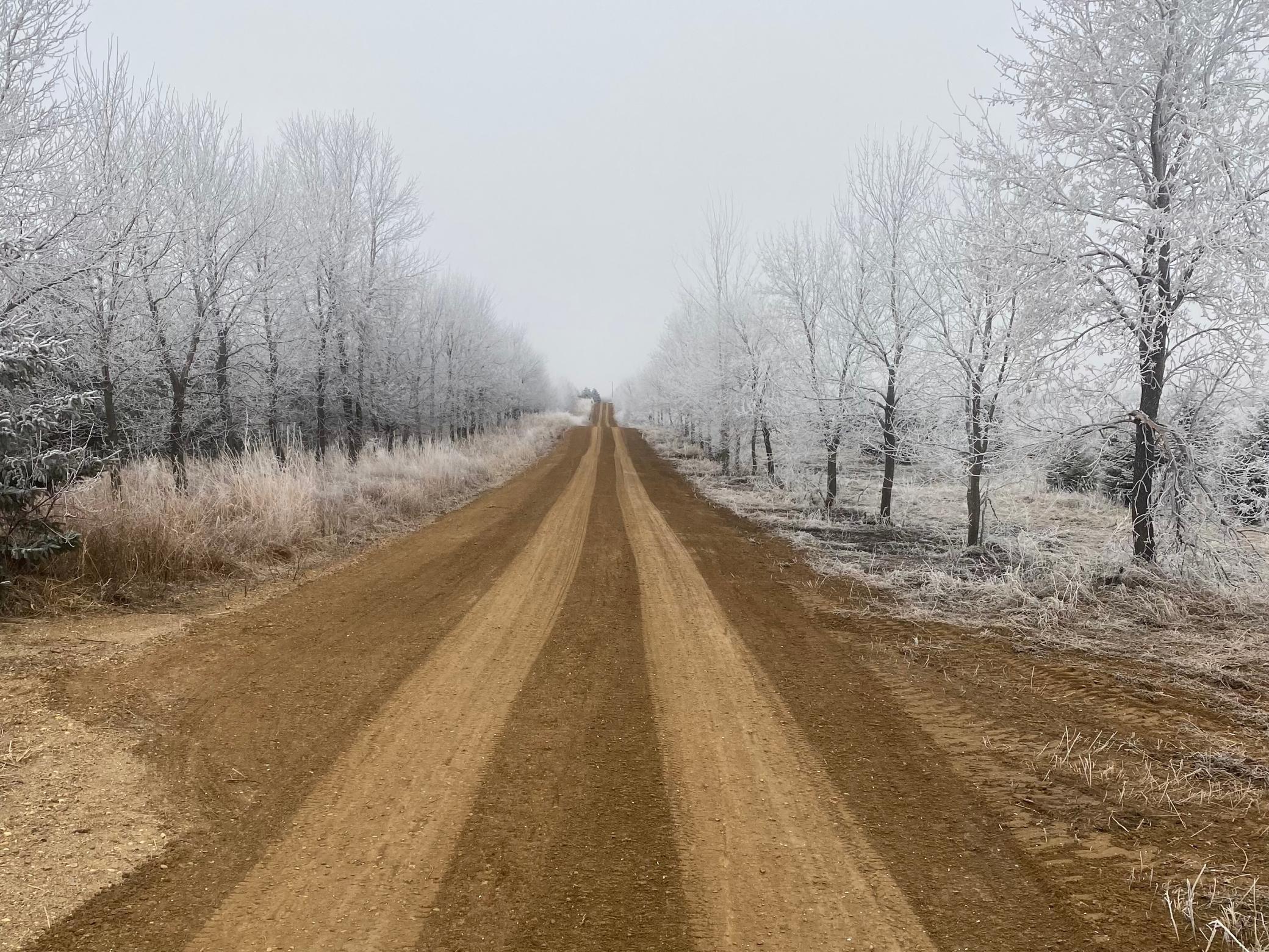 2051 120th Street Balaton MN 56115