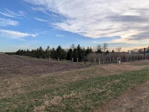 2051 120th Street Balaton MN 56115