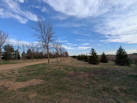 2051 120th Street Balaton MN 56115