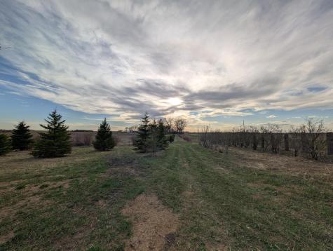 2051 120th Street Balaton MN 56115