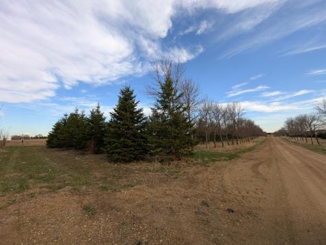 2051 120th Street Balaton MN 56115