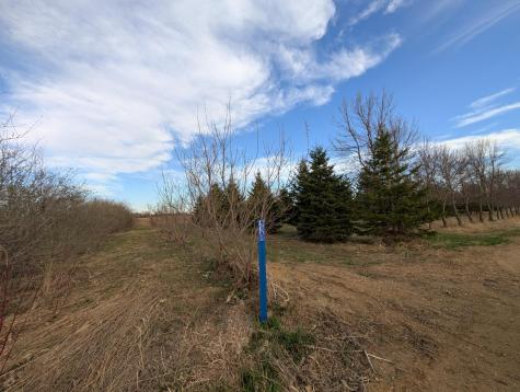 2051 120th Street Balaton MN 56115