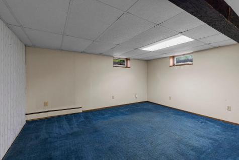 174 Cannon View Drive Red Wing MN 55066