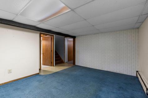 174 Cannon View Drive Red Wing MN 55066