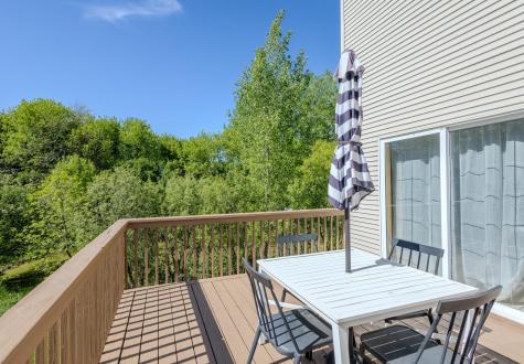 16210 39th Place N Plymouth MN 55446