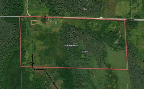 10478 Leander Road Angora MN 55703