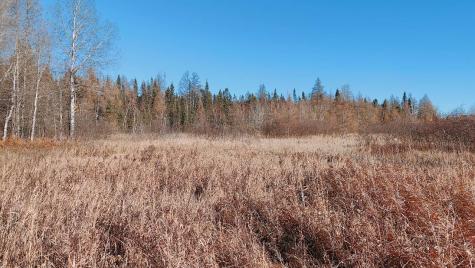 10478 Leander Road Angora MN 55703