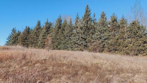 10478 Leander Road Angora MN 55703