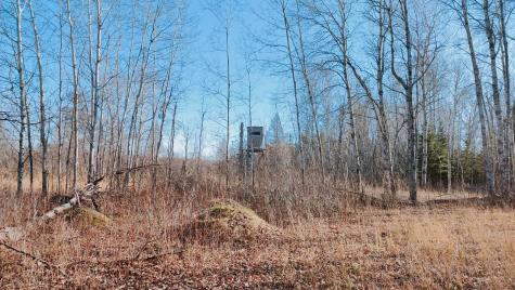 10478 Leander Road Angora MN 55703