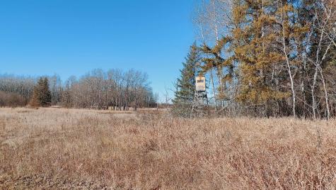 10478 Leander Road Angora MN 55703