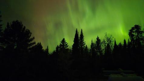 7523 Nelson Road Crane Lake MN 55725